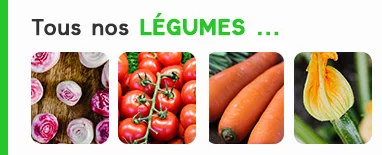 tous nos légumes bio